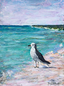 Pretty Gull, 18 x 24