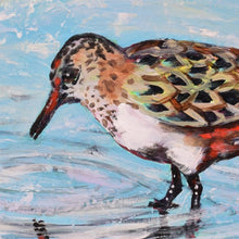 Load image into Gallery viewer, Detail of Shorebird Reflection by Honey Hilliard