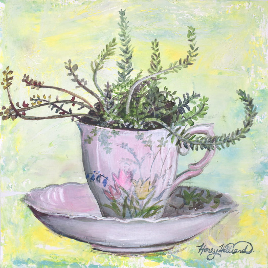 Tea Cup Succulent, 12 x 12 x 2.5 deep