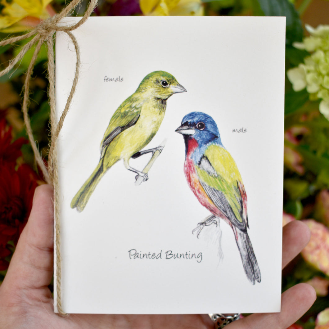 Songbird Note Cards Vol 2