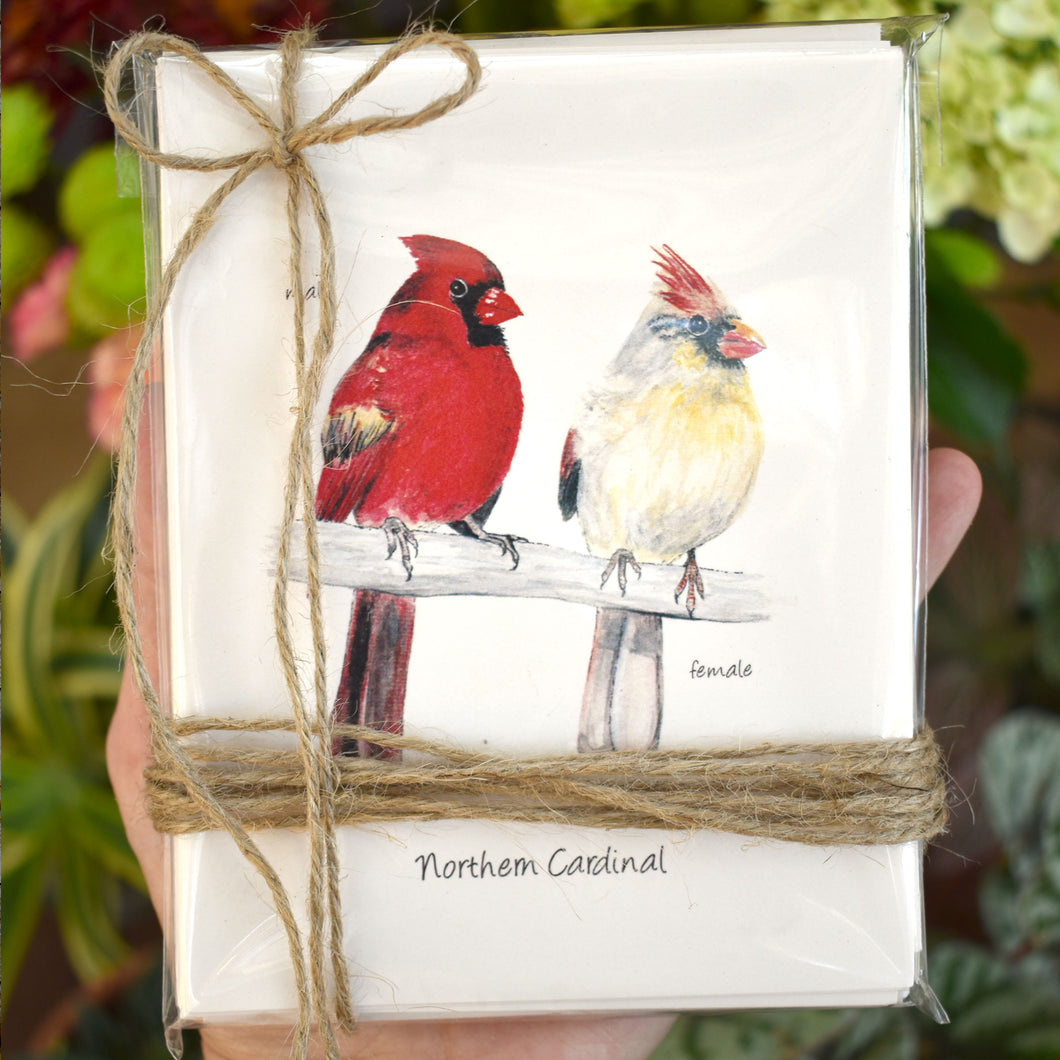 Songbird Note Cards Vol 1