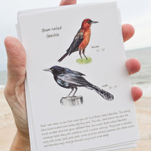 Load image into Gallery viewer, Songbird Note Cards Vol 1