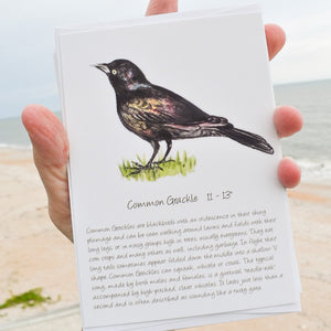 Songbird Note Cards Vol 1