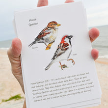 Load image into Gallery viewer, Songbird Note Cards Vol 1