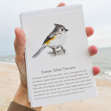 Load image into Gallery viewer, Songbird Note Cards Vol 2