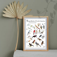 Load image into Gallery viewer, Mini Bird Poster